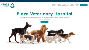 Our New Website is Live!