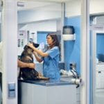 Animal Hospital in Mebane, North Carolina