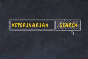searching for a veterinarian