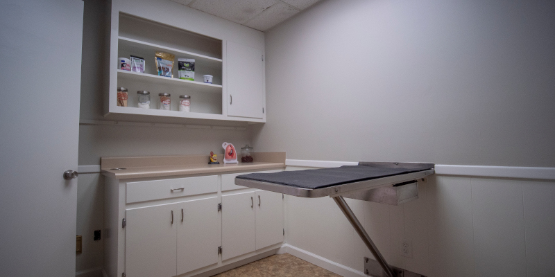 iStock_000002537735_Small Veterinary Services