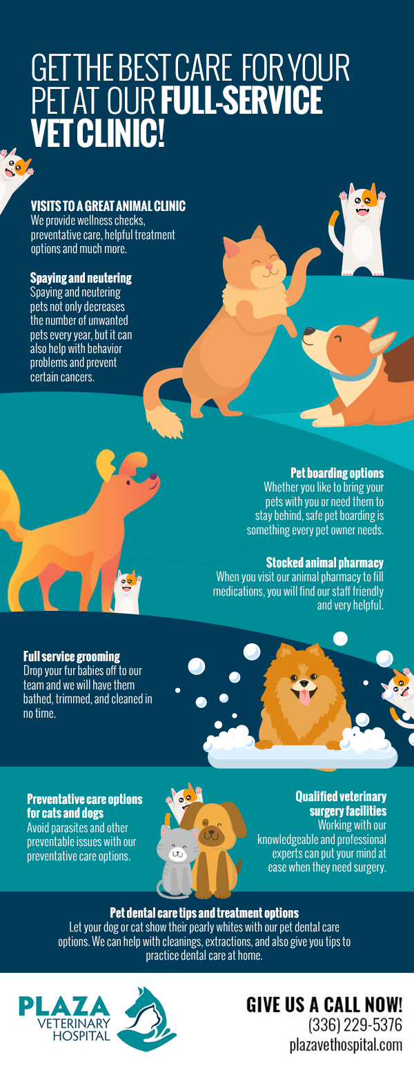 Get the Best Care for Your Pet at Our Full-Service Vet Clinic! [infographic]