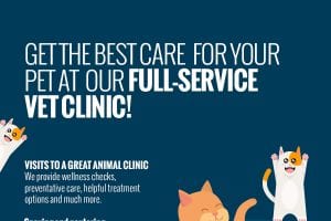 Get the Best Care for Your Pet at Our Full-Service Vet Clinic! [infographic]